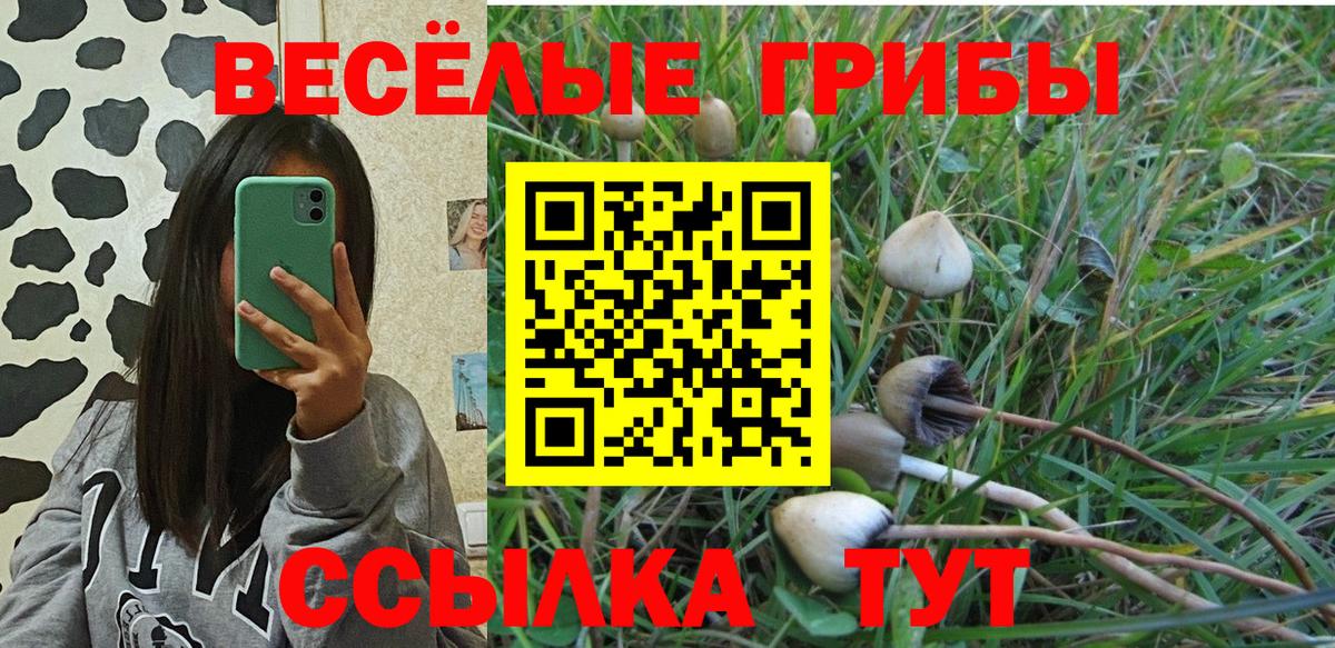 Галлюциногенные грибы GOLDEN TEACHER Удомля
